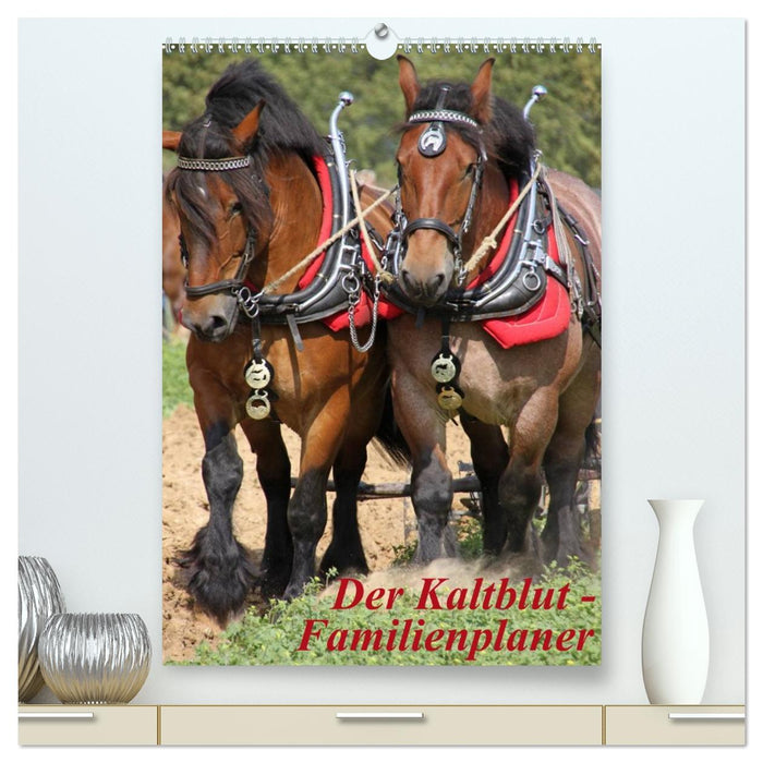Der Kaltblut-Familienplaner (CALVENDO Premium Wandkalender 2027)