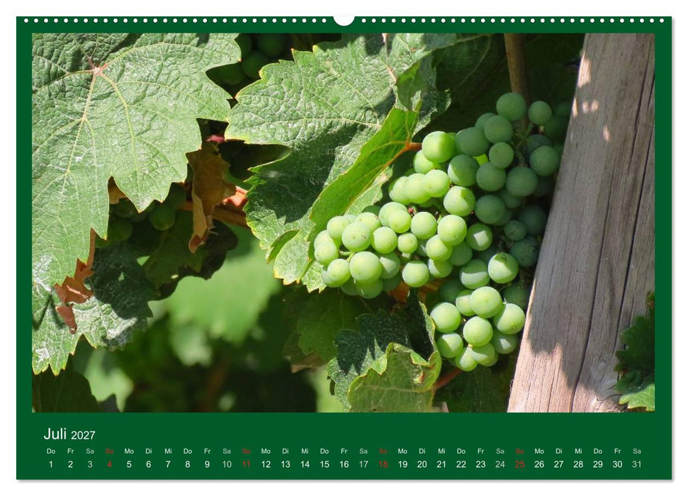Im Rheingau (CALVENDO Premium Wandkalender 2027)