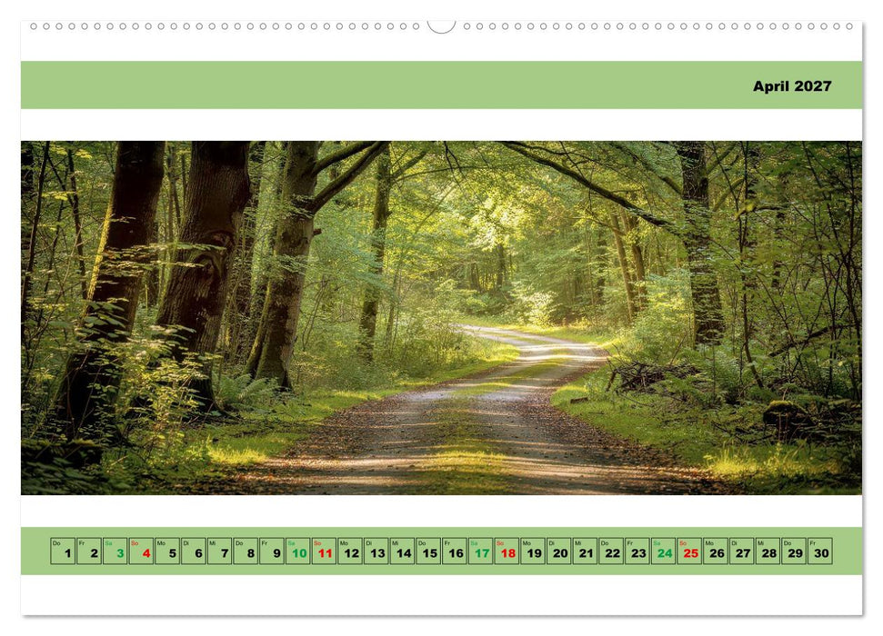 Naturaufnahmen - Panorama (CALVENDO Wandkalender 2027)