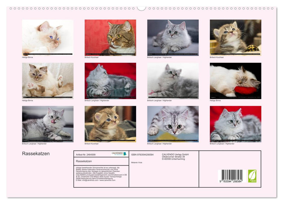 Rassekatzen (CALVENDO Premium Wandkalender 2027)