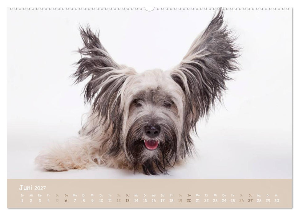 "SCHLAPPOHREN" (CALVENDO Wandkalender 2027)
