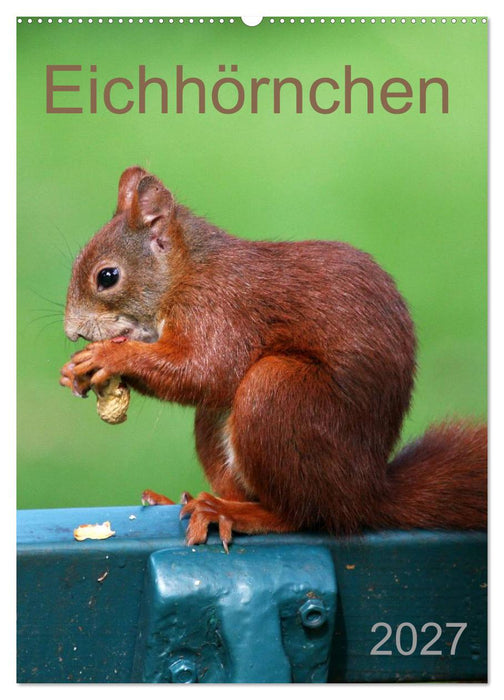 Eichhörnchen (CALVENDO Wandkalender 2027)