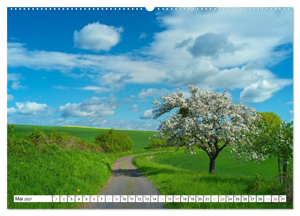 Traumhafte Wege durch die Eifel (CALVENDO Premium Wandkalender 2027)