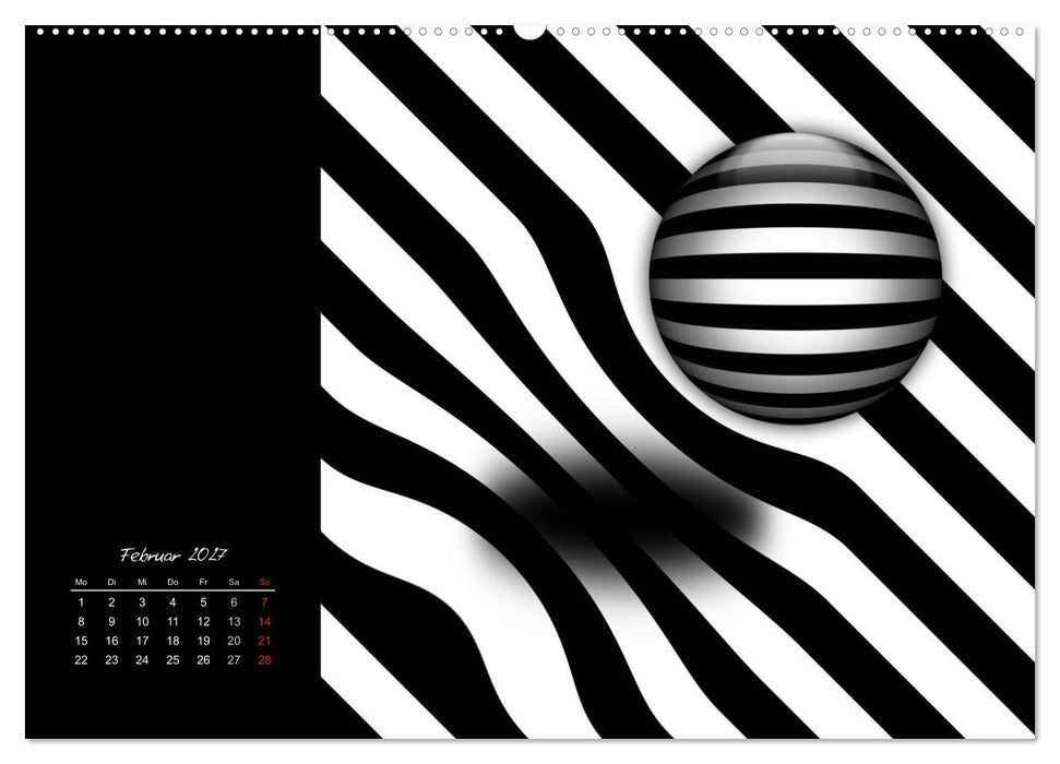 Schwarz trifft Weiß (CALVENDO Wandkalender 2027)