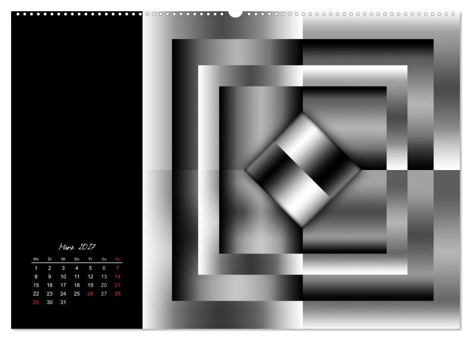 Schwarz trifft Weiß (CALVENDO Wandkalender 2027)