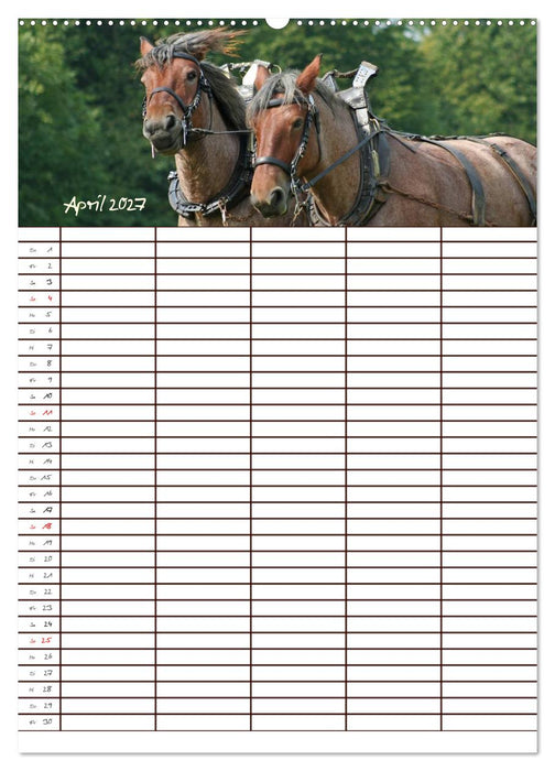 Der Kaltblut-Familienplaner (CALVENDO Wandkalender 2027)