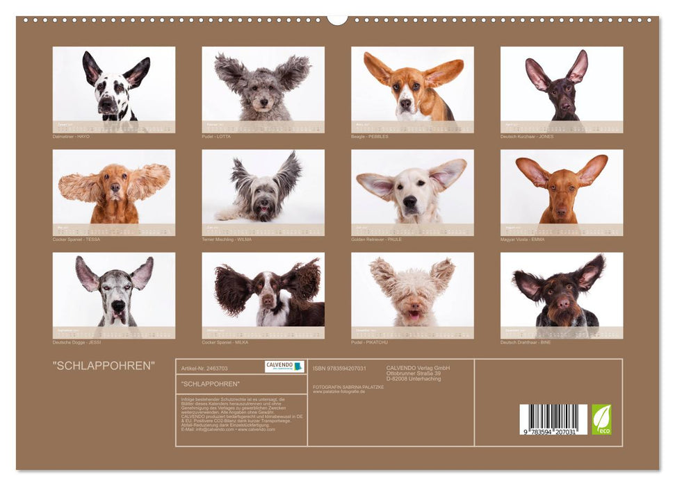 "SCHLAPPOHREN" (CALVENDO Premium Wandkalender 2027)