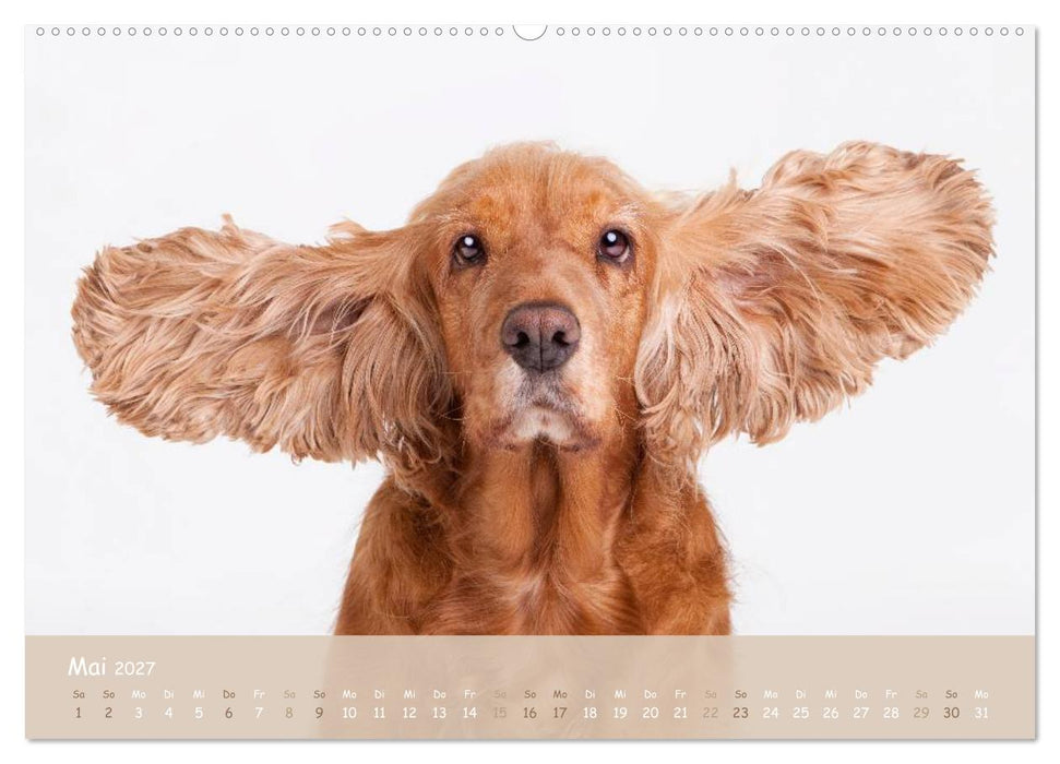 "SCHLAPPOHREN" (CALVENDO Premium Wandkalender 2027)