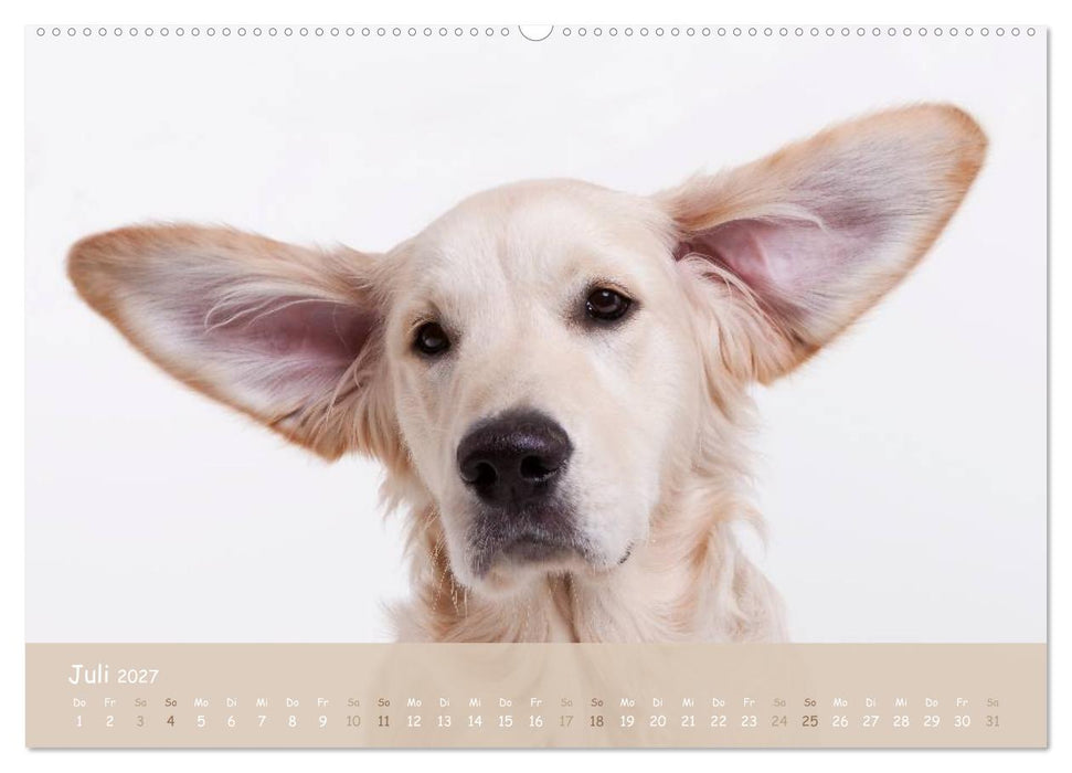 "SCHLAPPOHREN" (CALVENDO Premium Wandkalender 2027)