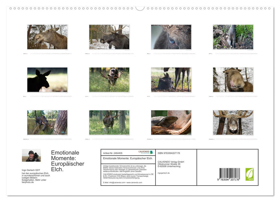 Emotionale Momente: Europäischer Elch. (CALVENDO Premium Wandkalender 2027)