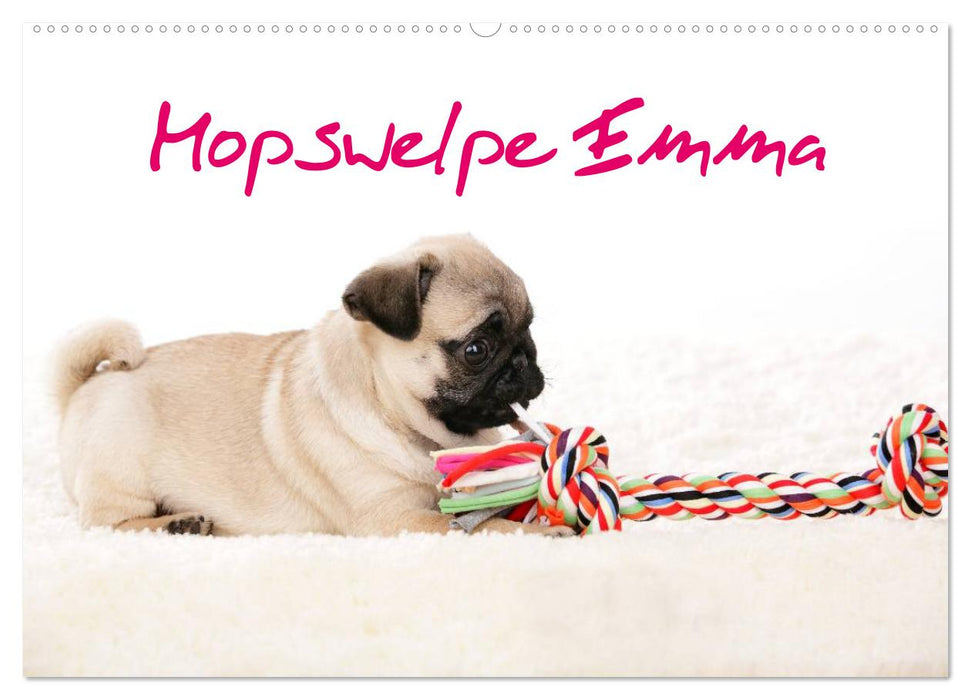 Mopswelpe Emma (CALVENDO Wandkalender 2027)