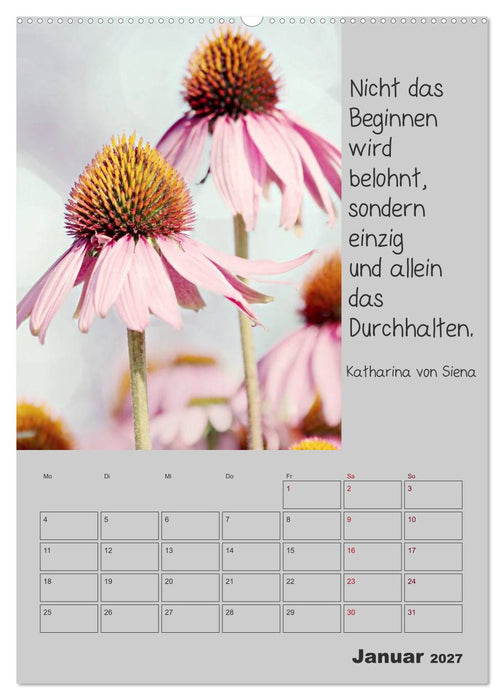 Motivationshilfe (CALVENDO Premium Wandkalender 2027)