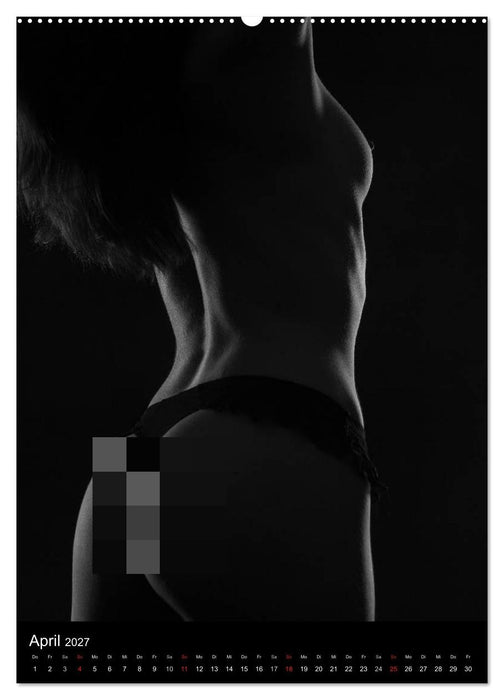 Erotische Silhouetten / CH-Version (CALVENDO Wandkalender 2027)