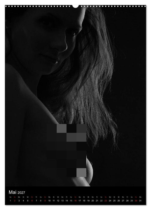 Erotische Silhouetten / CH-Version (CALVENDO Wandkalender 2027)