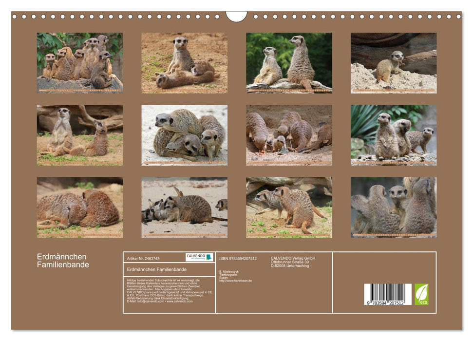Erdmännchen Familienbande (CALVENDO Wandkalender 2027)