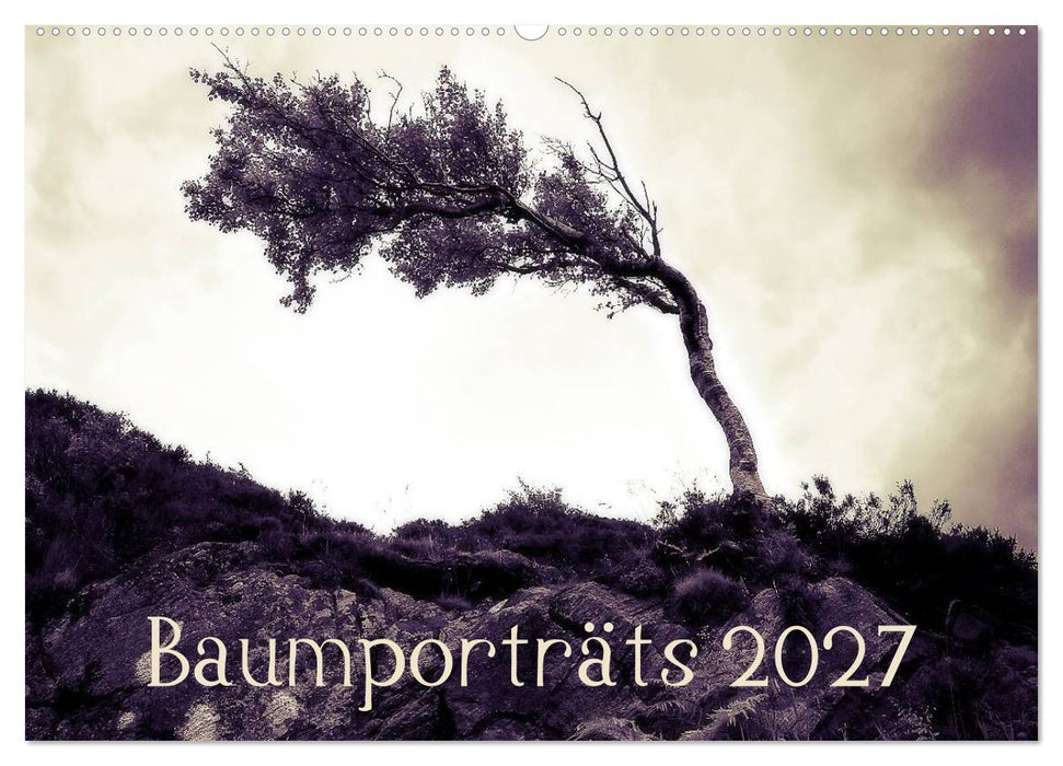 Baumporträts 2027 (CALVENDO Wandkalender 2027)