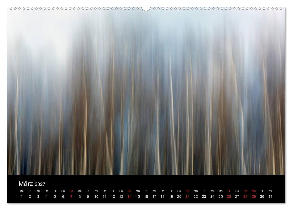 Baumporträts 2027 (CALVENDO Wandkalender 2027)