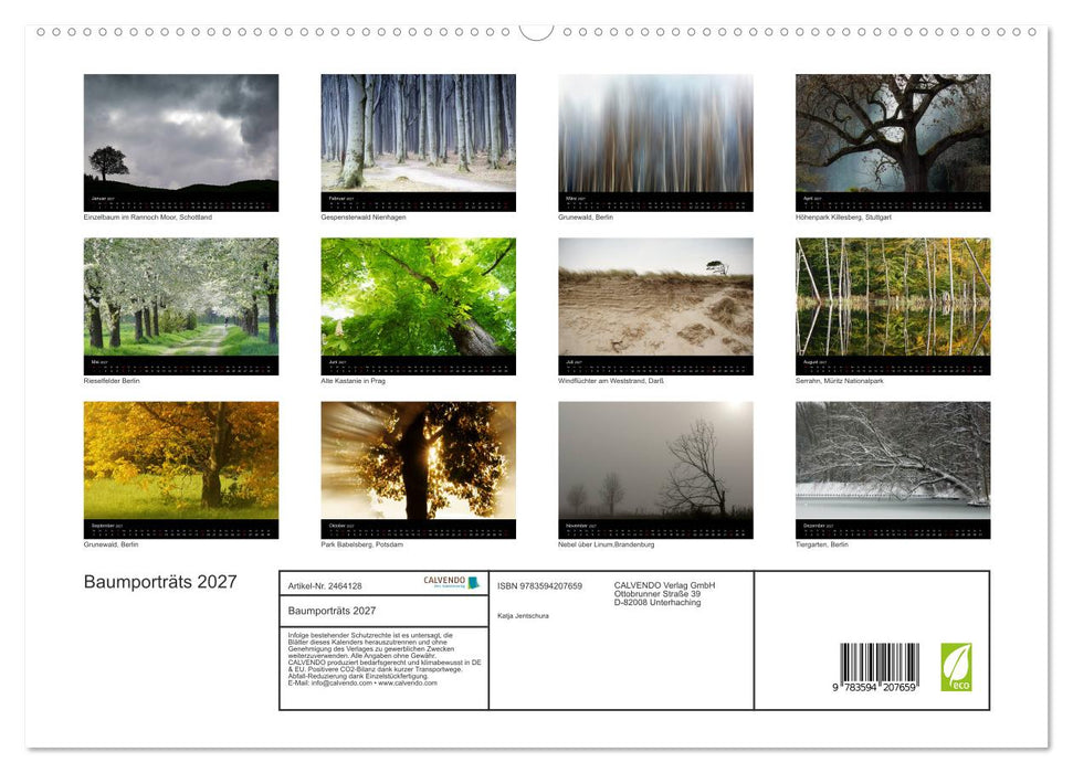 Baumporträts 2027 (CALVENDO Premium Wandkalender 2027)