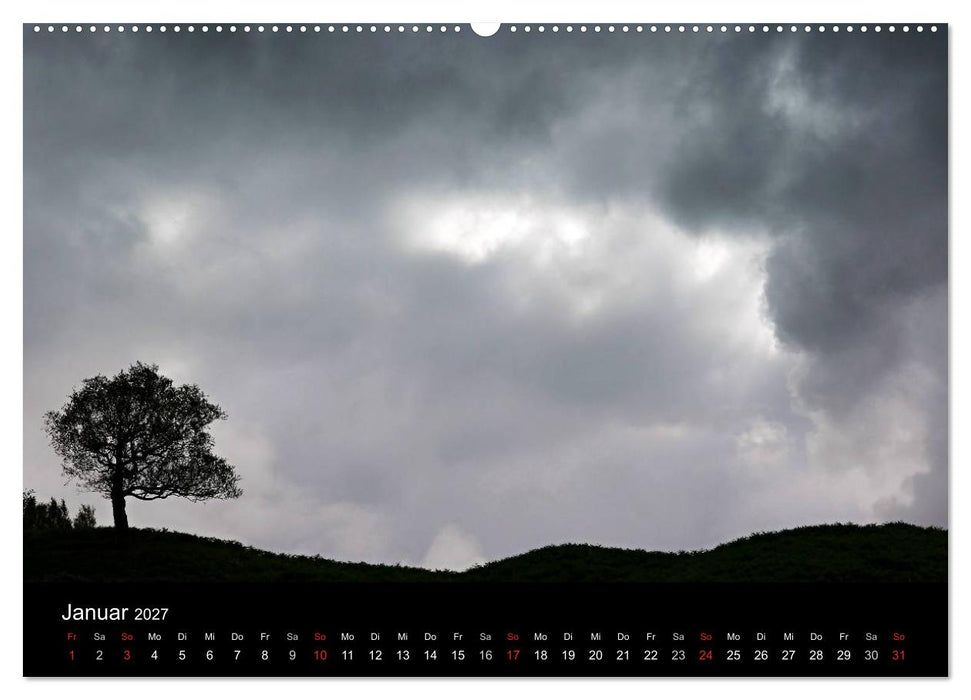 Baumporträts 2027 (CALVENDO Premium Wandkalender 2027)