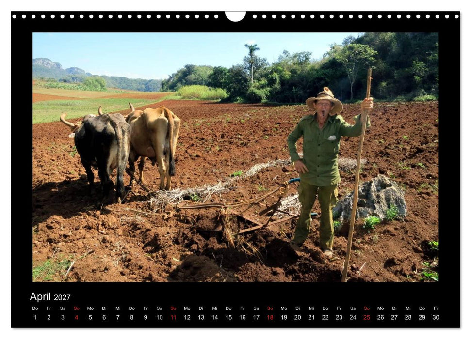 Viva Cuba! (CALVENDO Wandkalender 2027)