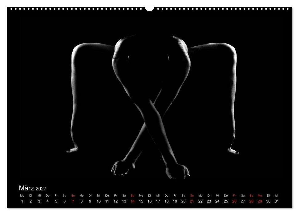 Kunstakt (CALVENDO Wandkalender 2027)