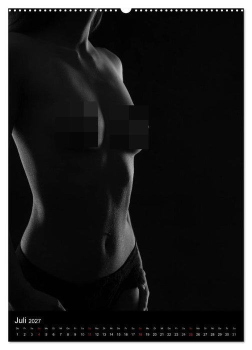 Erotische Silhouetten / CH-Version (CALVENDO Premium Wandkalender 2027)