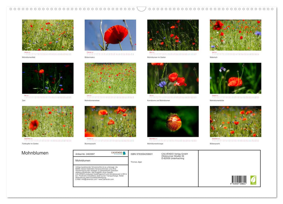 Mohnblumen (CALVENDO Wandkalender 2027)