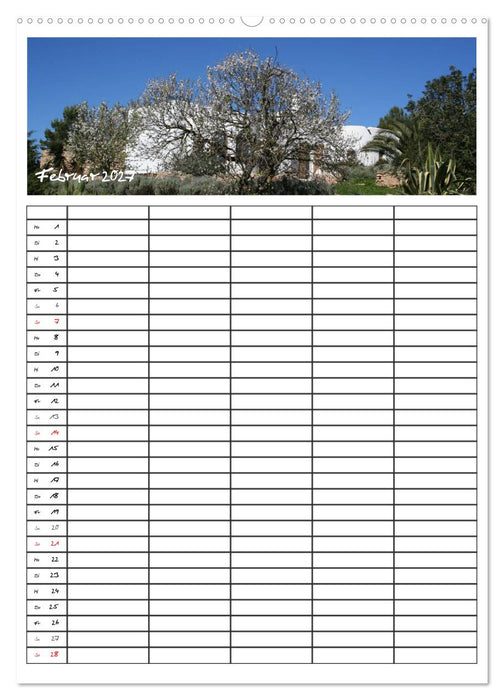 Ibiza / Familienplaner (CALVENDO Wandkalender 2027)