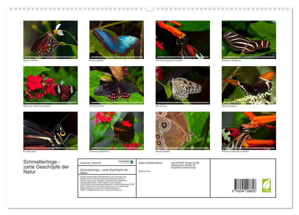 Schmetterlinge - zarte Geschöpfe der Natur (CALVENDO Premium Wandkalender 2027)