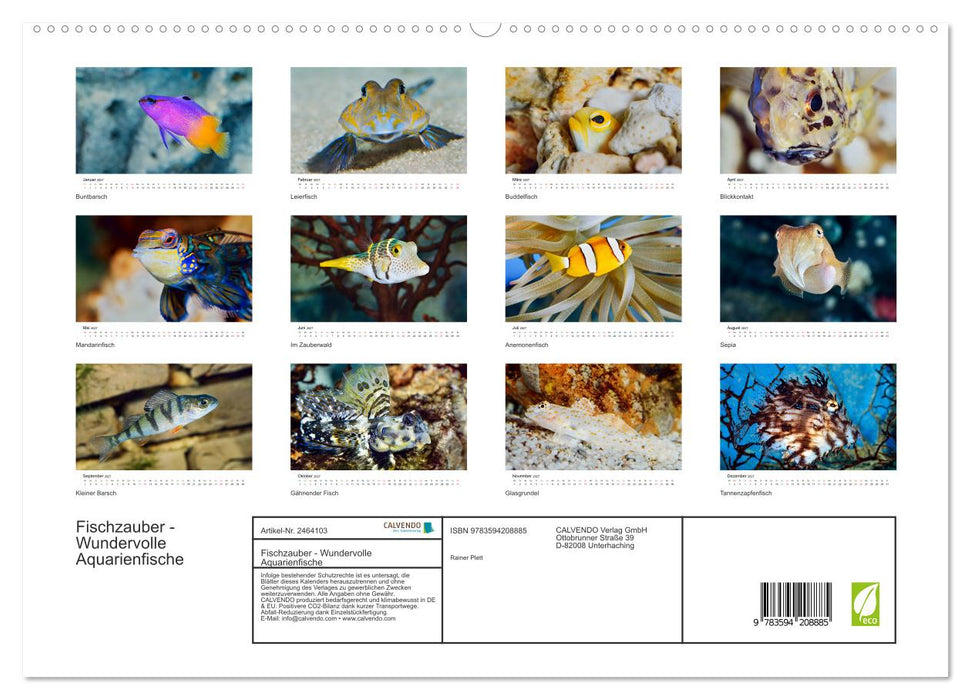 Fischzauber - Wundervolle Aquarienfische (CALVENDO Premium Wandkalender 2027)