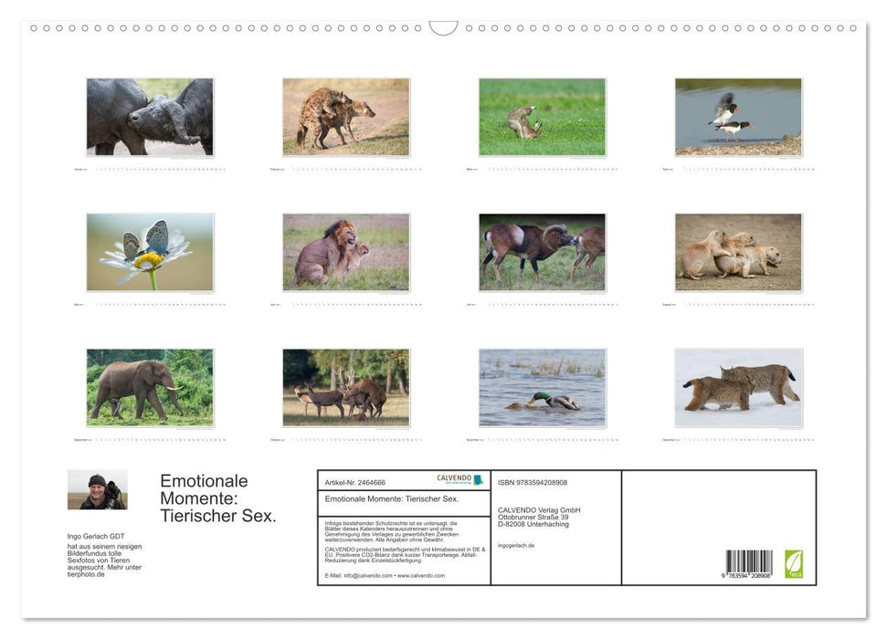 Emotionale Momente: Tierischer Sex. (CALVENDO Wandkalender 2027)
