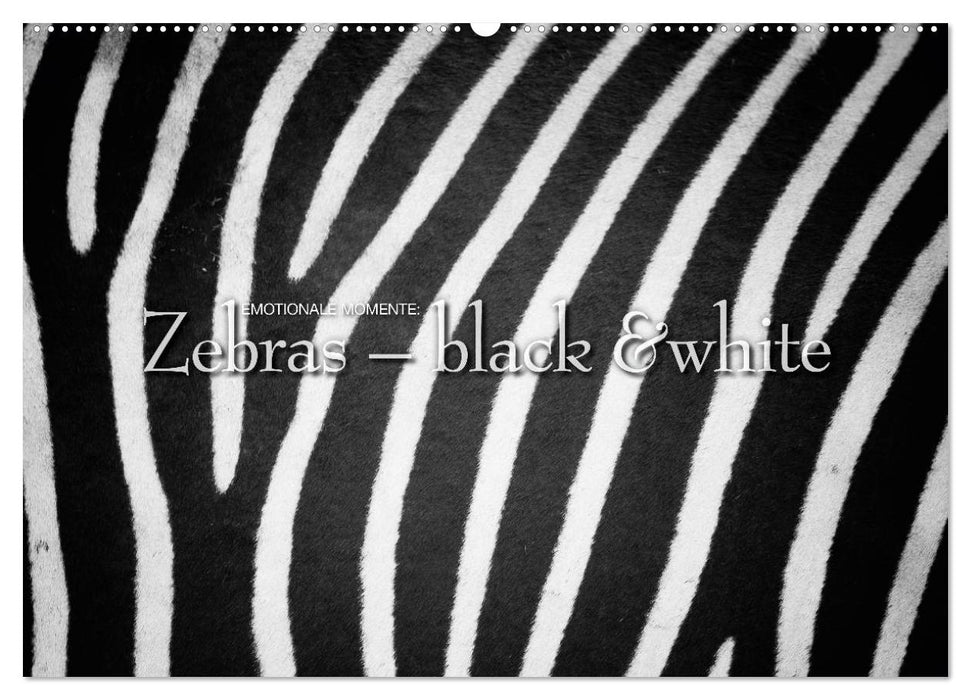 Emotionale Momente: Zebras - black & white. (CALVENDO Wandkalender 2027)