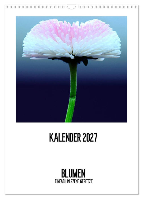 BLUMEN EINFACH IN SZENE GESETZT (CALVENDO Wandkalender 2027)