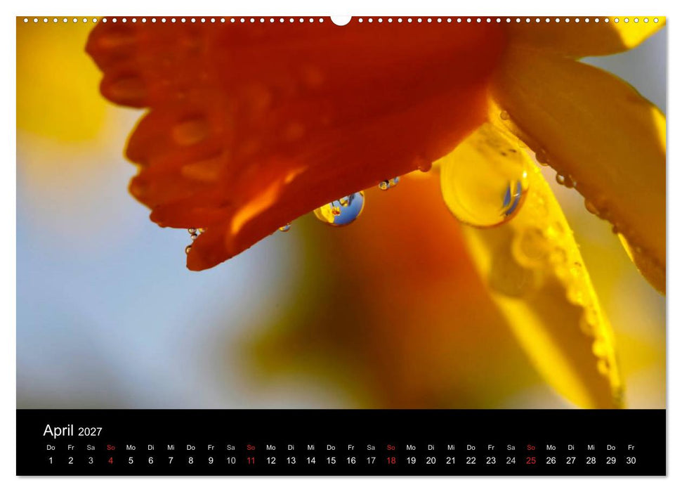 Wassertropfen (CALVENDO Wandkalender 2027)
