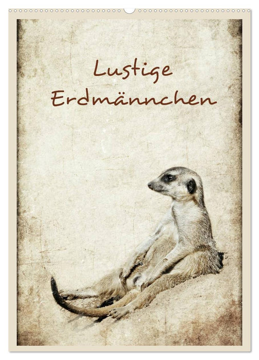Lustige Erdmännchen (CALVENDO Wandkalender 2027)