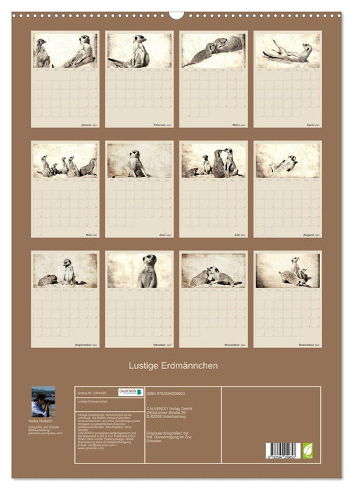 Lustige Erdmännchen (CALVENDO Wandkalender 2027)