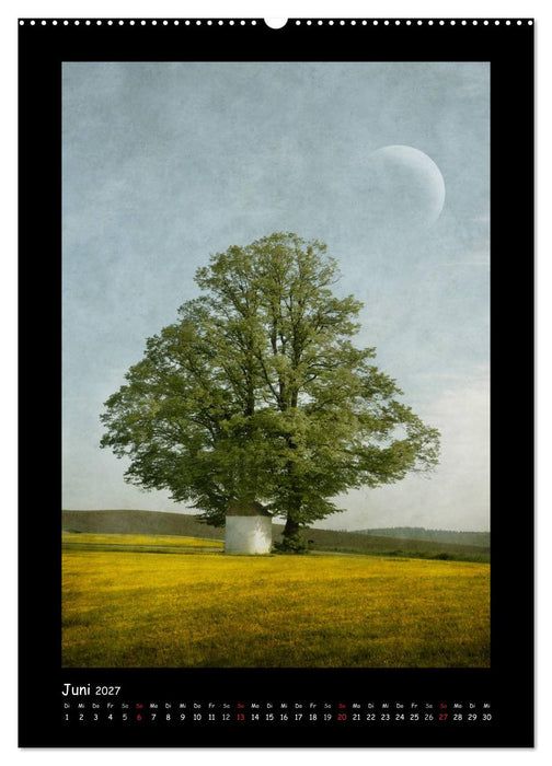 Baumtraum (CALVENDO Wandkalender 2027)