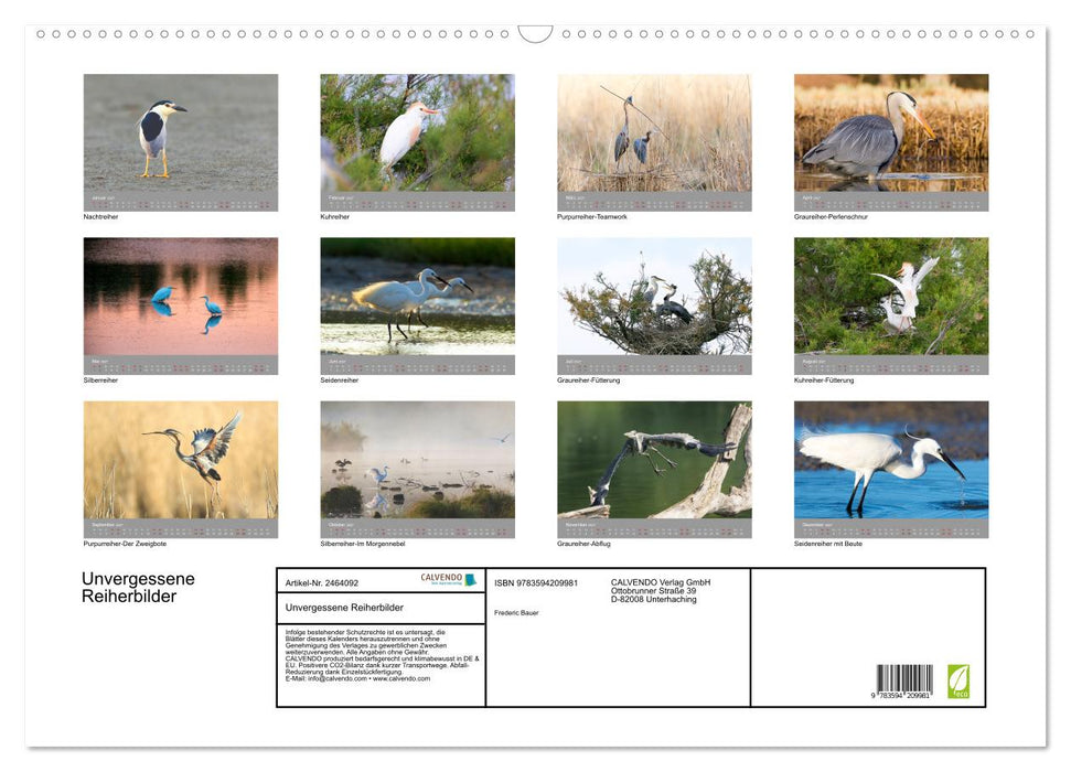 Unvergessene Reiherbilder (CALVENDO Wandkalender 2027)