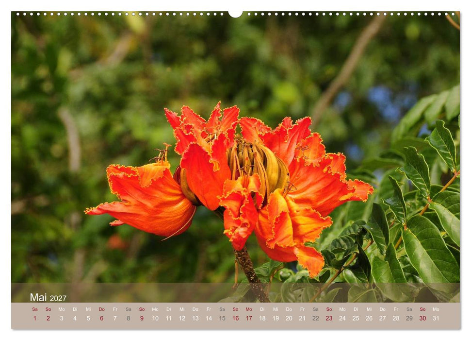 Aloha aus Hawaii (CALVENDO Premium Wandkalender 2027)