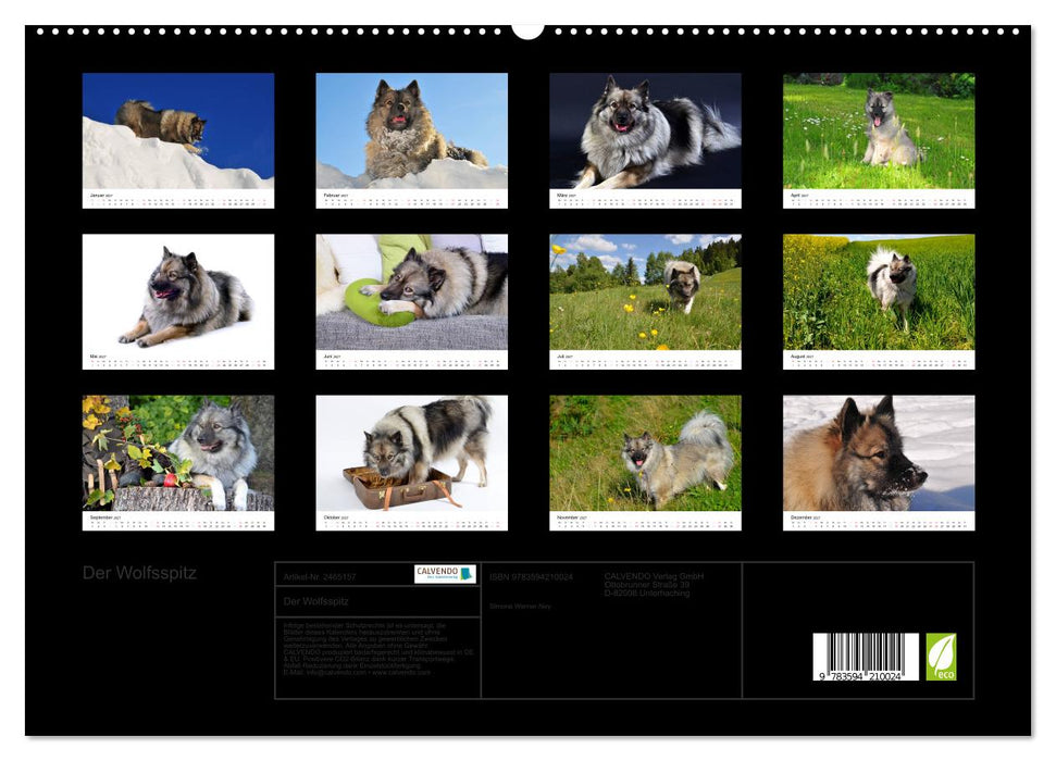 Der Wolfsspitz (CALVENDO Premium Wandkalender 2027)