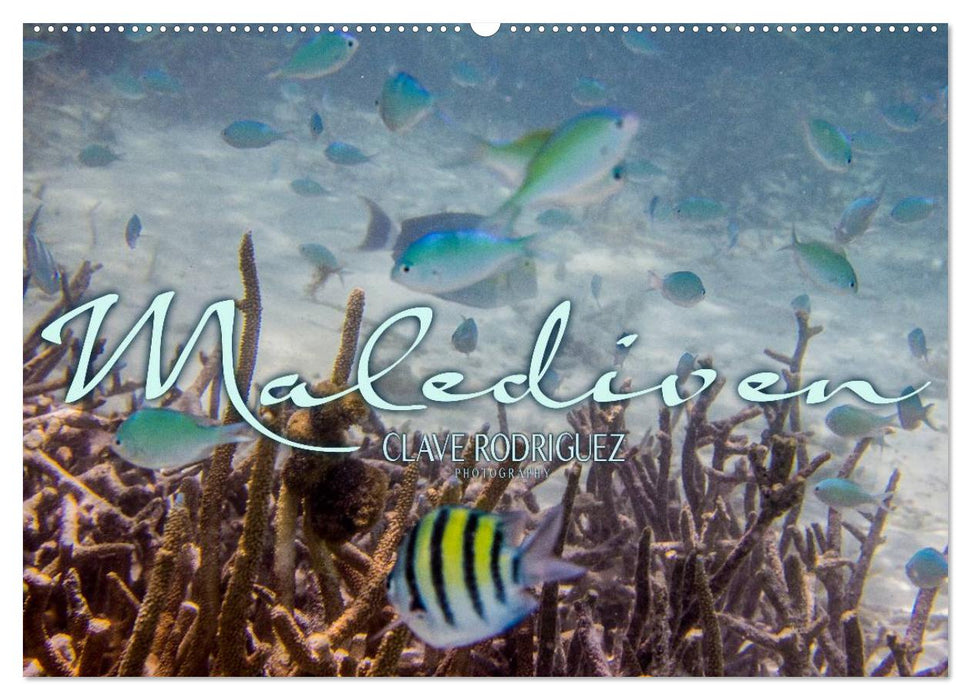 Unterwasserwelt der Malediven III (CALVENDO Wandkalender 2027)