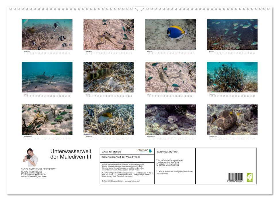 Unterwasserwelt der Malediven III (CALVENDO Wandkalender 2027)