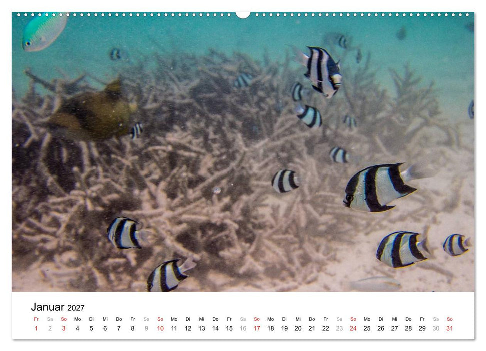 Unterwasserwelt der Malediven III (CALVENDO Wandkalender 2027)