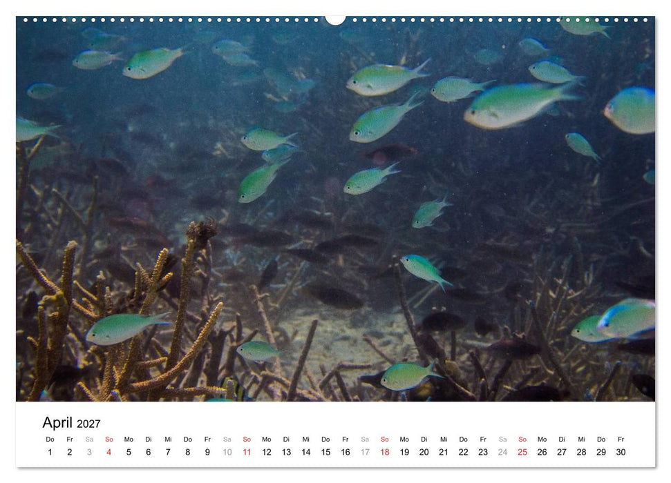 Unterwasserwelt der Malediven III (CALVENDO Wandkalender 2027)