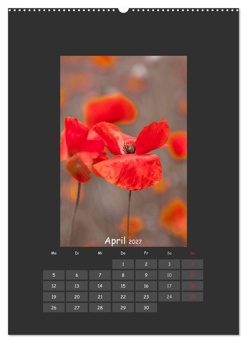 Mohn (CALVENDO Wandkalender 2027)
