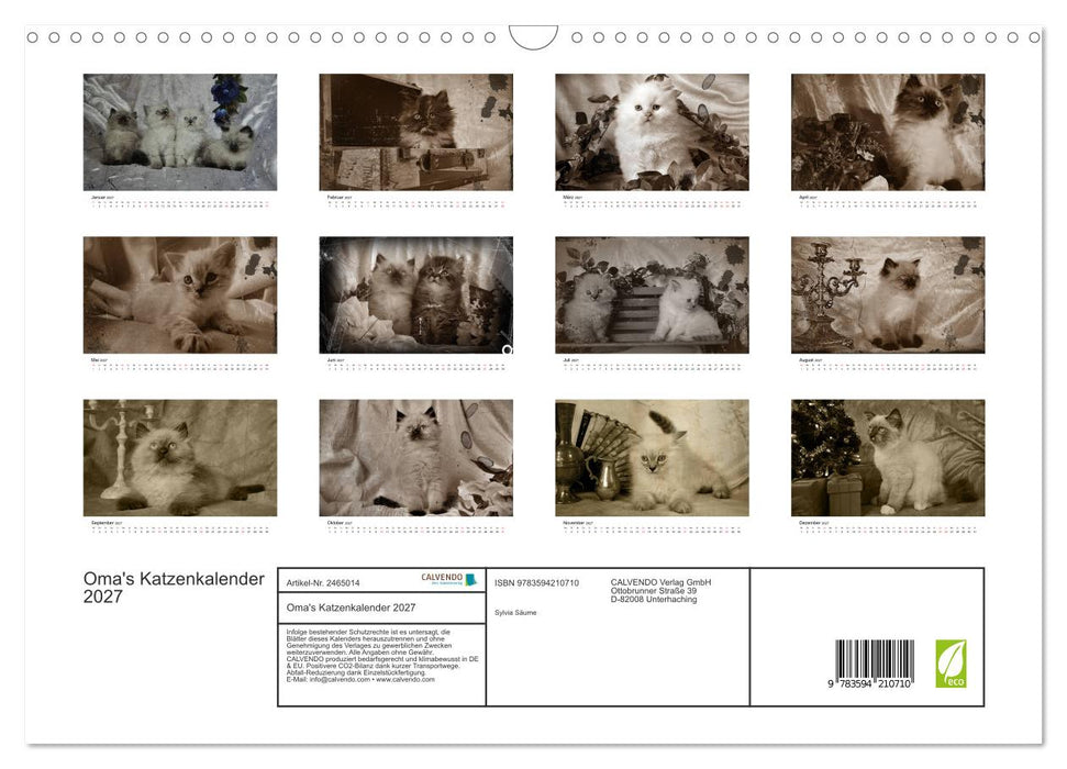 Oma's Katzenkalender 2027 (CALVENDO Wandkalender 2027)