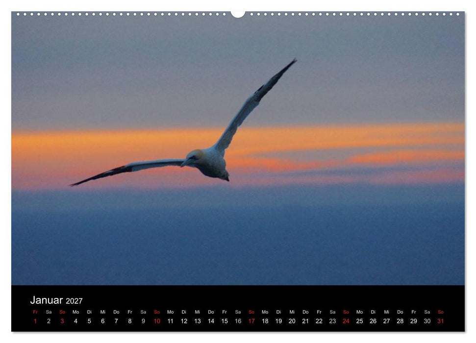 Abend in Helgoland (CALVENDO Wandkalender 2027)