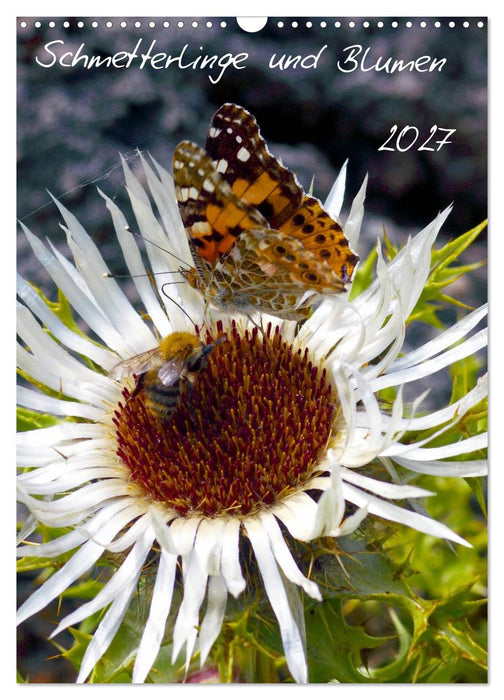 Schmetterlilnge und Blumen (CALVENDO Wandkalender 2027)