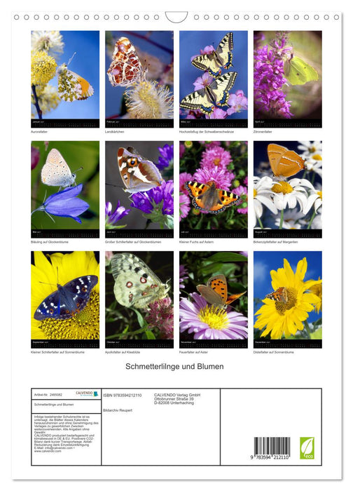 Schmetterlilnge und Blumen (CALVENDO Wandkalender 2027)
