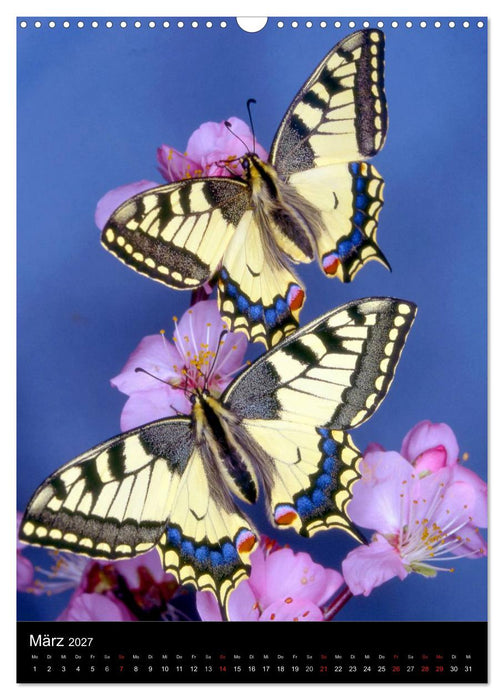 Schmetterlilnge und Blumen (CALVENDO Wandkalender 2027)